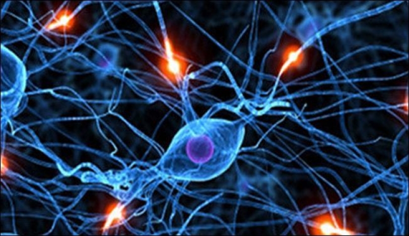 دراسة جديدة تكشف عن استخدام النانو بعلوم الأعصاب