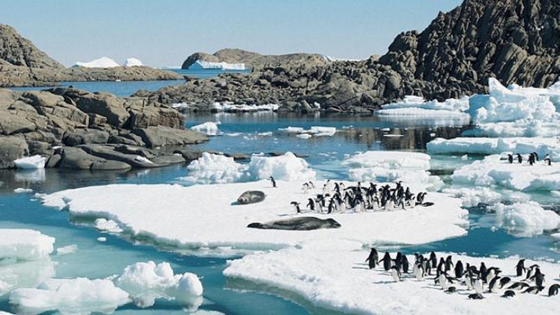 تقرير: ذوبان جليد القطب الجنوبي يضعف الجاذبية الأرضية