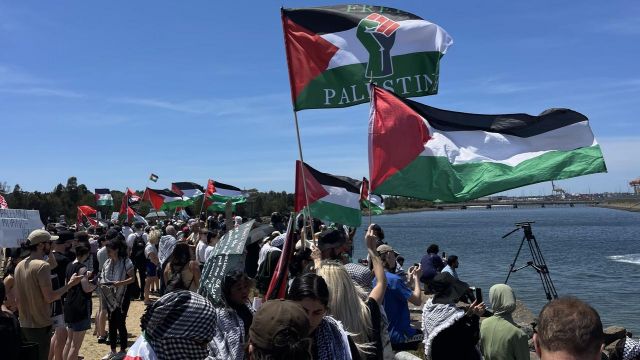ارتفاع التضامن الشعبي العالَمي مع فلسطين كمّاً ونوعاً