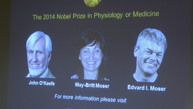 منح جائزة نوبل لمكتشفي «جي بي إس الدماغ»