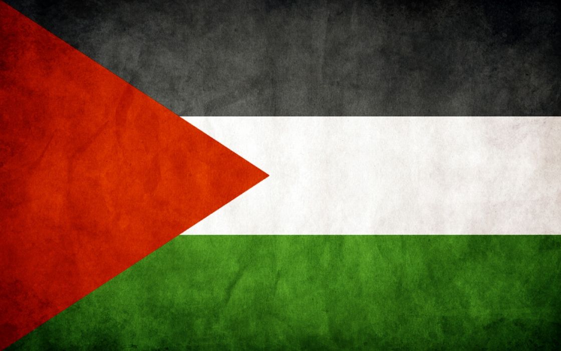 هيئة حماية حقوق الشعب الفلسطيني تقر «بيان فلسطين»