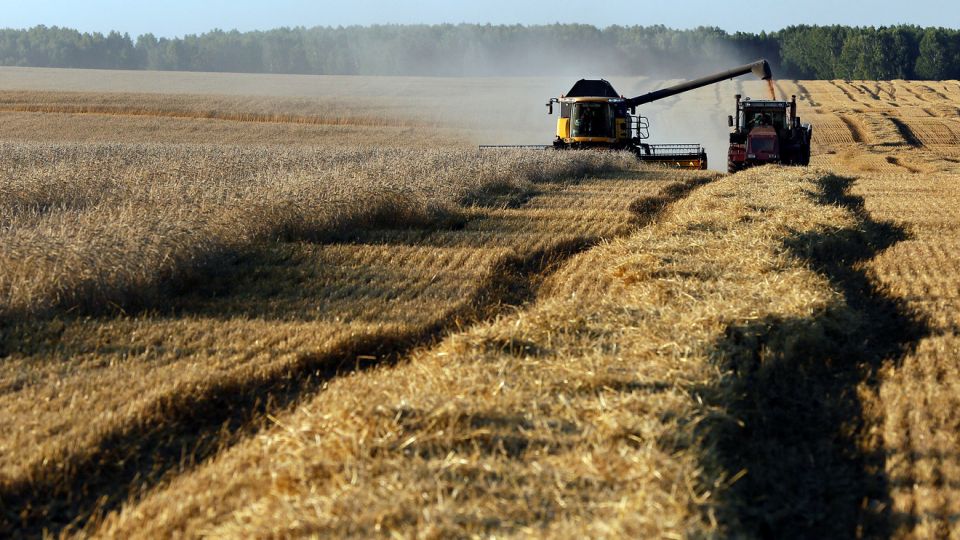 روسيا تخطط لأرقام قياسية في الإنتاج الزراعي