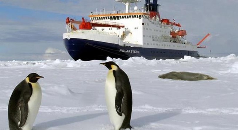 خبراء: احتياطات ضخمة من الموارد في القارة القطبية الجنوبية