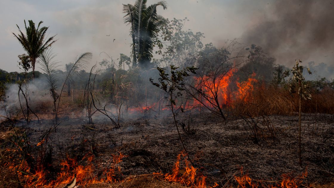 بالأرقام والأدلة: لماذا وكيف ولمصلحة من  حرائق الأمازون؟
