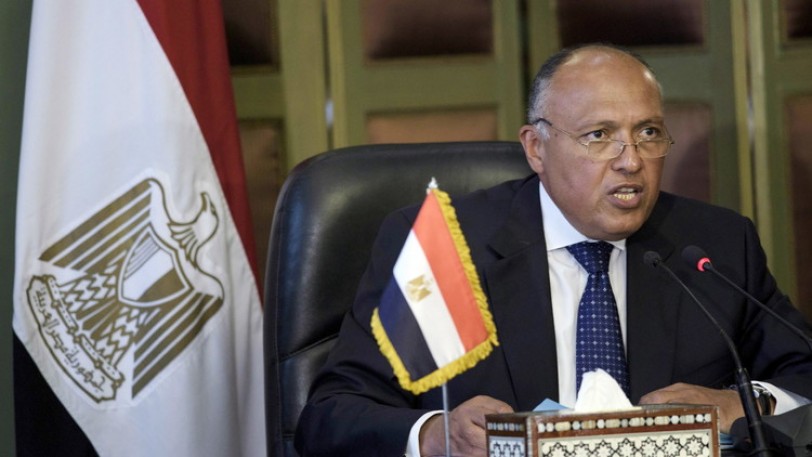 مصر تنفي نيتها الانخراط في الصراع السوري