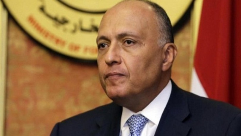 مصر تدعو إلى ضرورة بدء المفاوضات السياسية بشأن سوريا في أسرع وقت