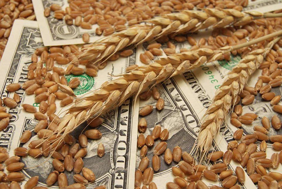 القمح يقفز أكثر من 7% في بورصة أمريكية