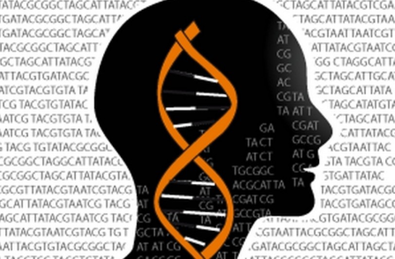 «فانتوم 5» يرسم أوضح صورة لآلية تنظيم عمل الجينات البشرية