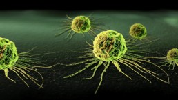 دراسة: العلماء يجعلون خلايا السرطان تدمر نفسها بنفسها