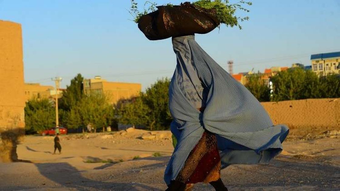 تحذيرات دولية من مجاعة أفغانية
