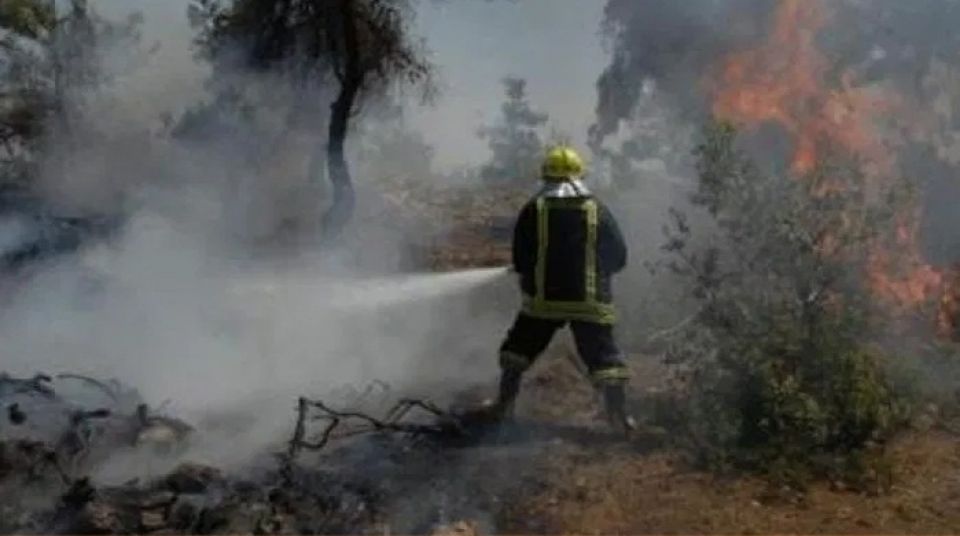 الحرائق المُفتَعَلة تتجدّد بسورية بالتزامن مع تحذير «منصة الغابات»