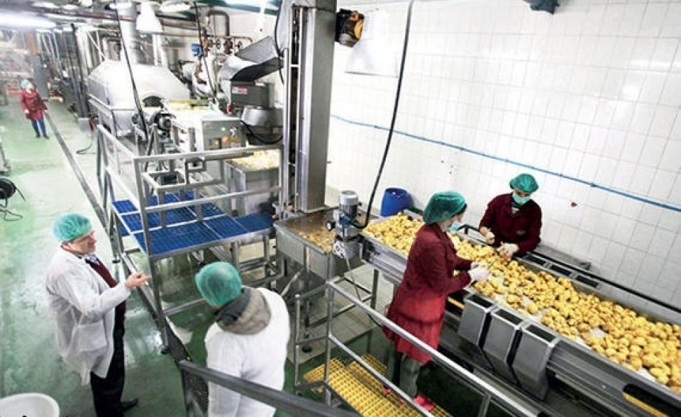 مؤتمر نقابة عمال الصناعات الغذائية: يجب زيادة الرواتب لتقليص الهوة بين الأجور والأسعار