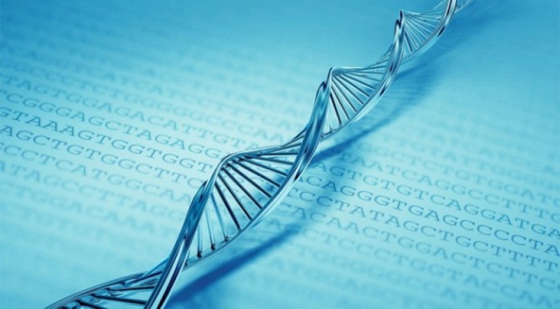 دراسة: شرائط (DNA) يمكن أن تنقل التيار الكهربائي