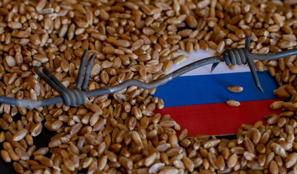 تلبية لطلب حكومة لبنان: روسيا تقدّم مساعدات مجّانية من القمح والنفط