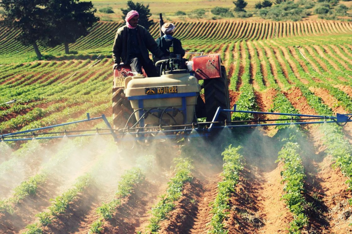 الجزائر تقترب من الاكتفاء الذاتي في الإنتاج الزراعي