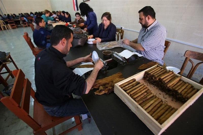 السيجار السوري يشق طريقه نحو العالمية