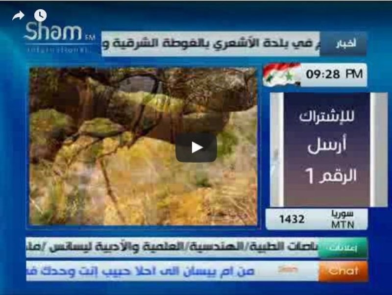 حوار علاء عرفات عبر إذاعة شام 30/04/2017