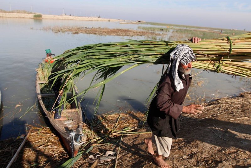 جفاف يهدّد الزراعة في جنوب العراق