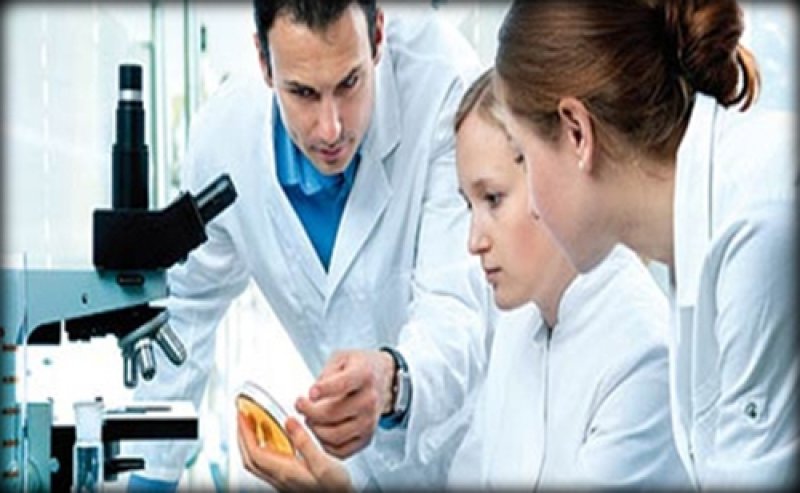 دراسة: اكتشاف جين مسؤول عن محي الذكريات