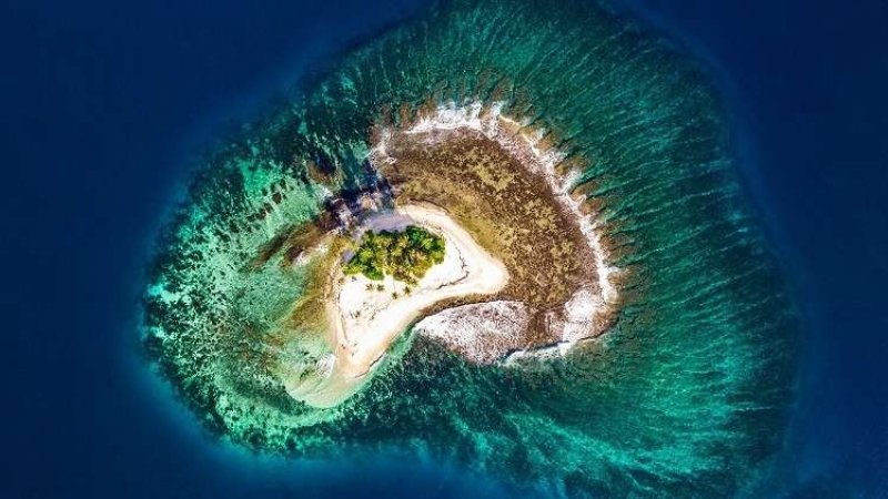 حموضة المحيطات تحطم رقماً قياسياً لم تشهده منذ 14 مليون سنة