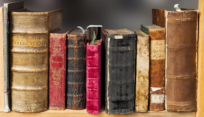 كيف تباد الكتب في العصر الحديث؟