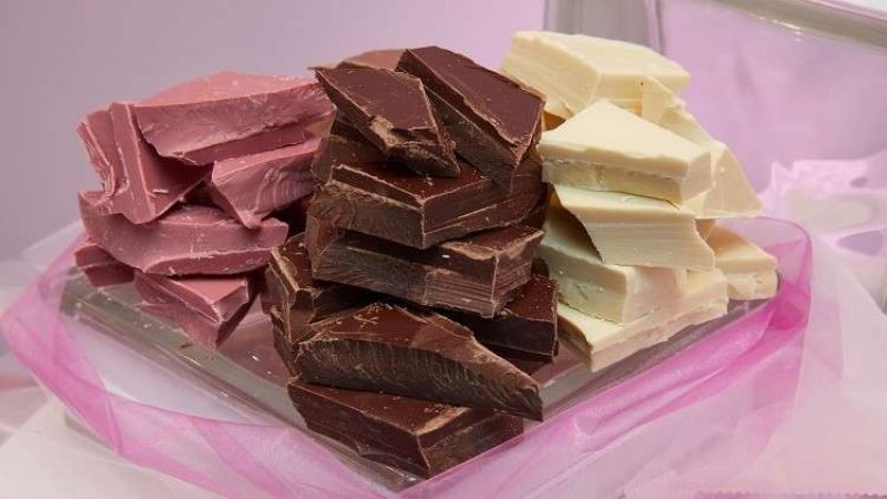 معلومات مجهولة عن الشوكولا