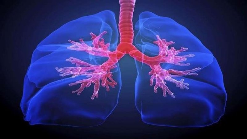 رئة الإنسان توحي بابتكار يحول الماء إلى وقود