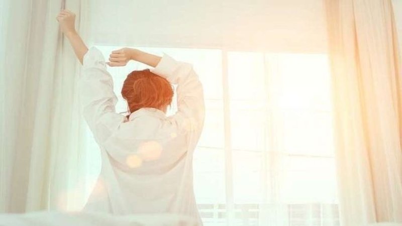 انعكاس الاستيقاظ باكراً على الدماغ