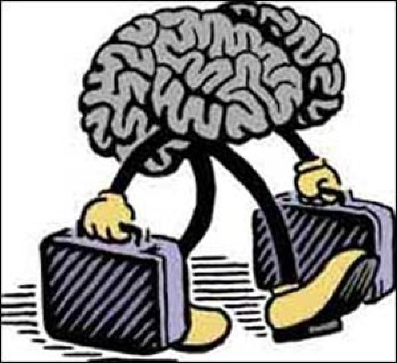 وجدتها: دماغ على طبق ذهبي
