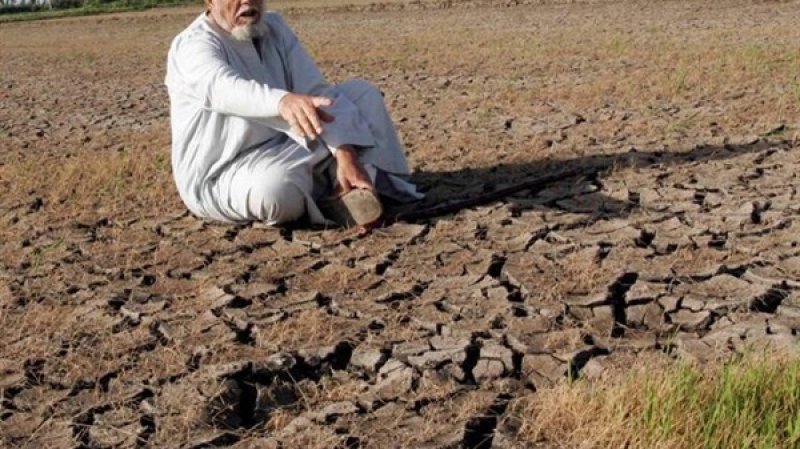 الزراعة الحافظة.. اسألوا الطبيعة!
