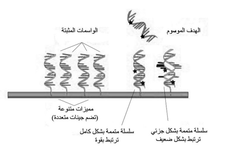 تقنيات المستقبل القريب
