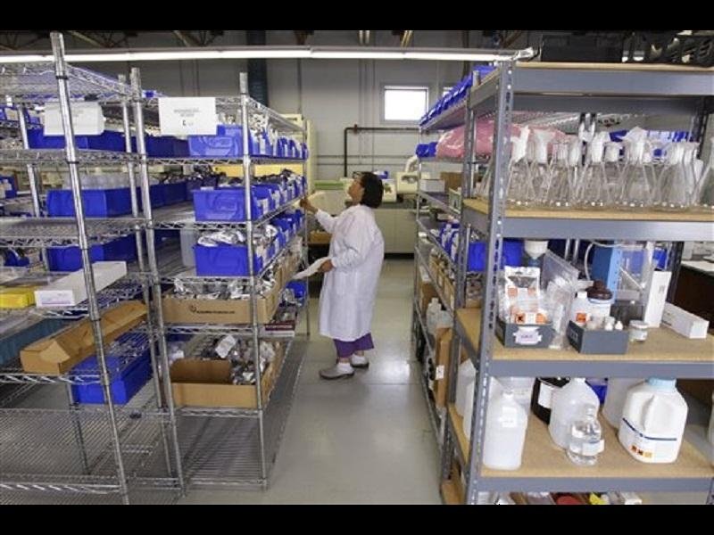 استنبات الجلد البشري من الخلايا الجذعية
