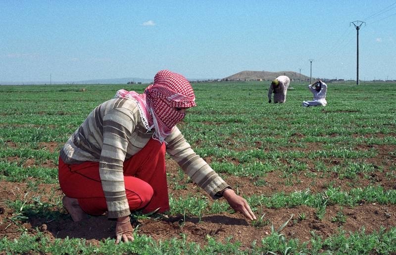 تغيرات كلف دونم القمح بين قبل الأزمة- 2013-2014: المناطق الشرقية