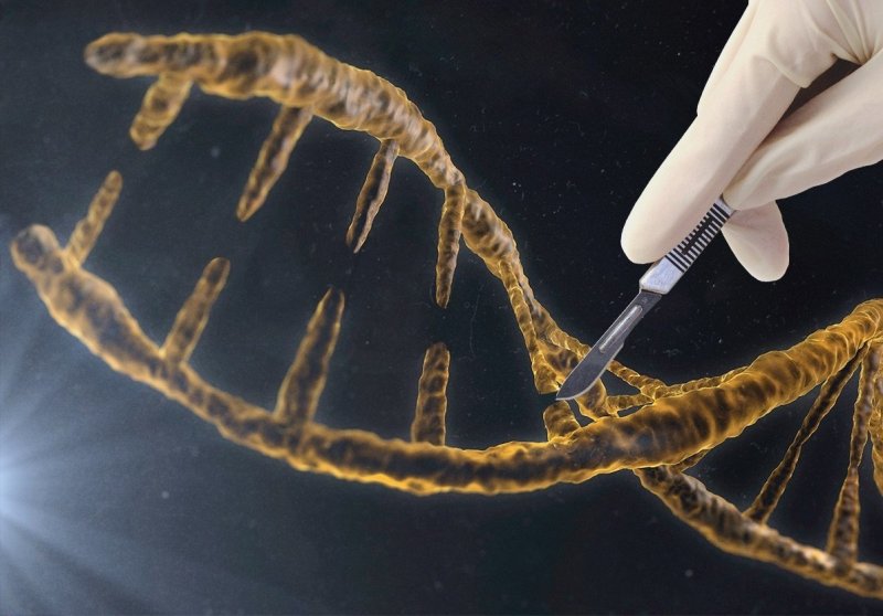 الرأسمالية منتحلة صفة العلمية؟