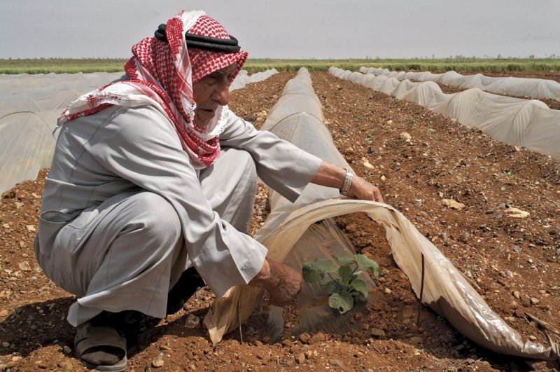 إنتاج فعلي وإنتاج إجمالي