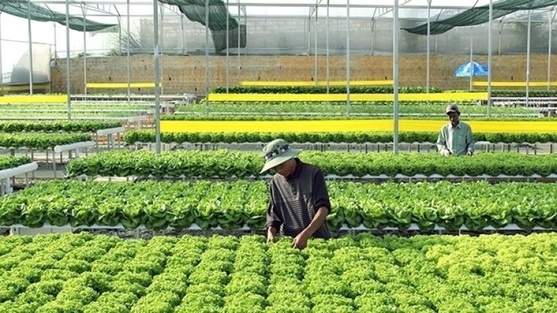 نظام يسرق مستقبلنا عن مجلة المناخ والرأسمالية