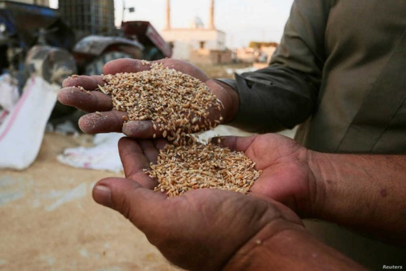 Sanctions and “Bullying” … Wheat as an Example