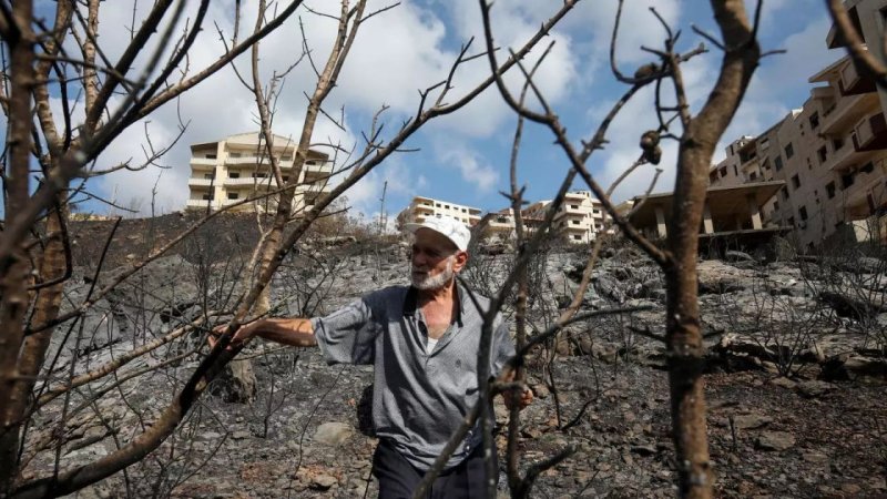 Wildfires in Syria: What is the Accurate Number? And What is the Actual Cause?