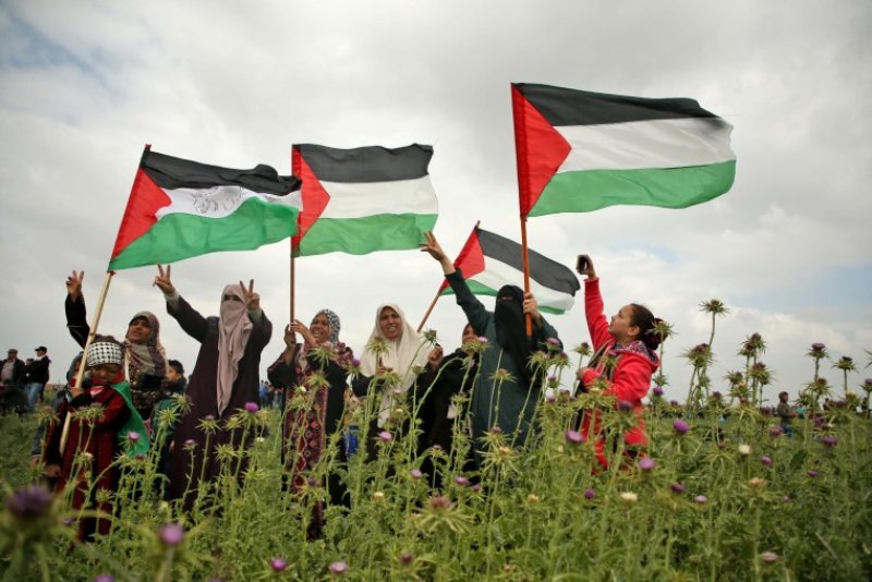 الولادة كانتفاضة: الأمهات والقابِلات في غزة