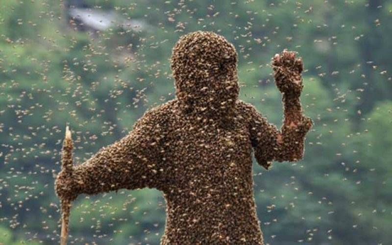 النحل يحمل في بطونه مصانع للمضادات الحيوية