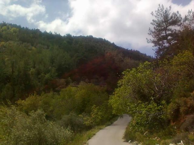 أراضي &laquo;بشراغي&raquo; المستصلحة قيد نزع الملكية