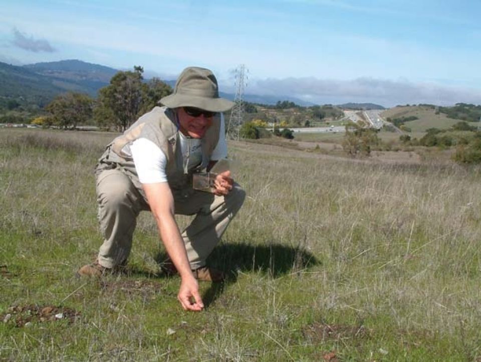 وجدتها:على وجه المستنقع