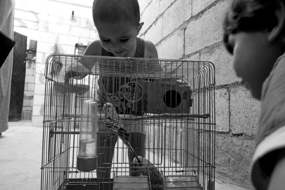 الحل السياسي: الثابت والمتغير