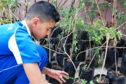 الاستثمار البيئي لمرحلة إعادة الإعمار!