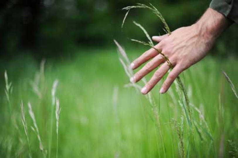 الهندسة الشاملة للبيئة تسعى إلى تبريد الأرض