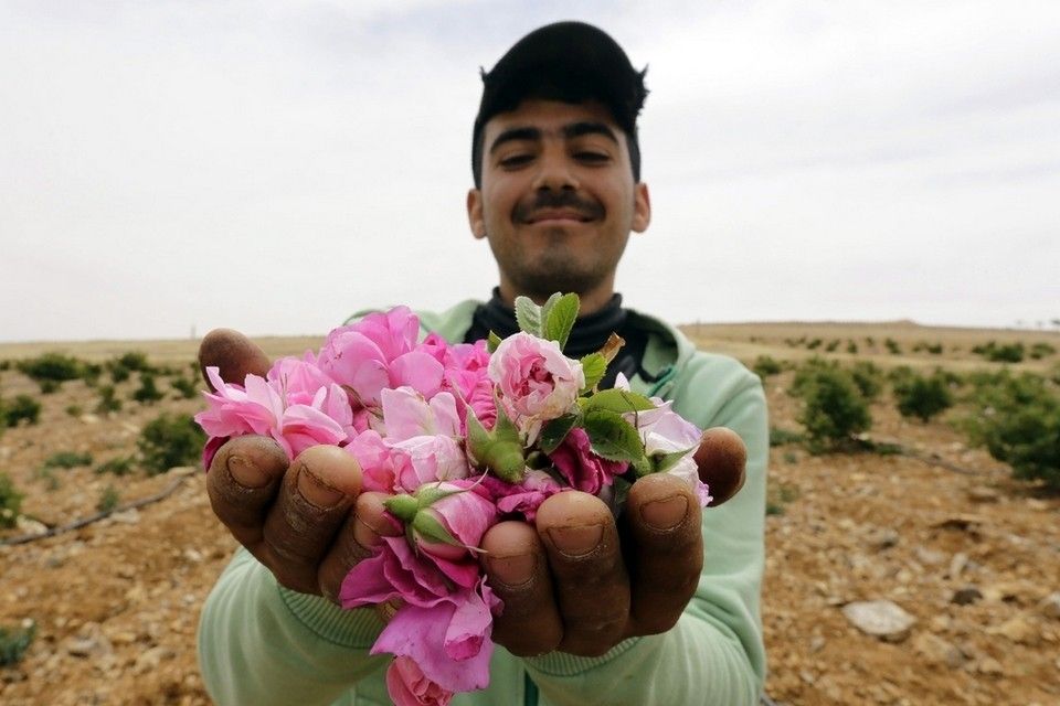 منصة الحل.. والسلاح: 2254