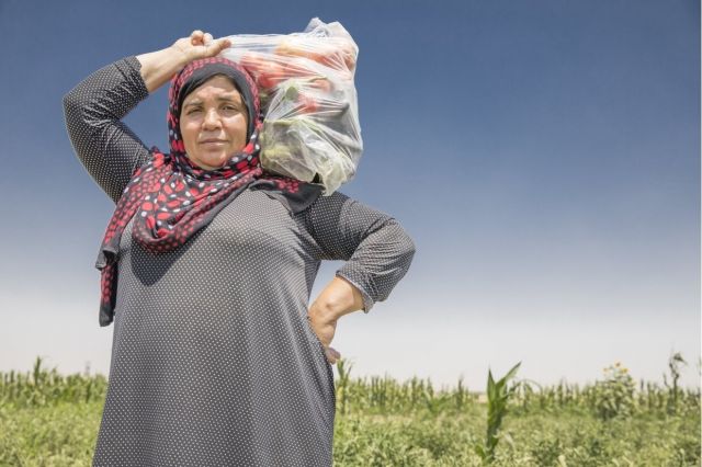 310 ألف ليرة لتكاليف معيشة أسرة نهاية 2018