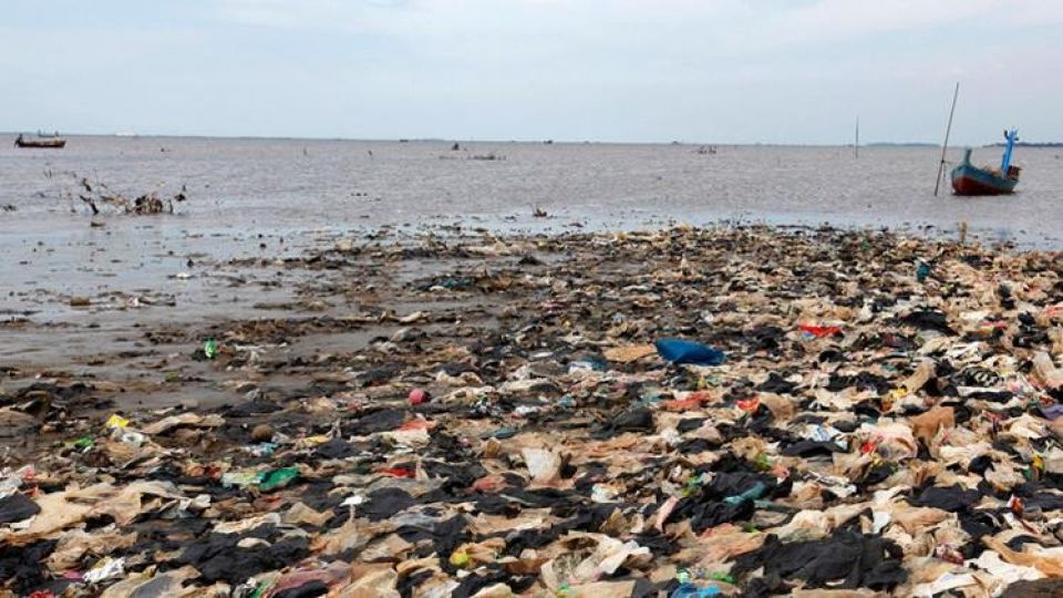 أخبار العلم