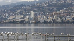 بدء جولة مفاوضات نووية جديدة بين السداسية وإيران