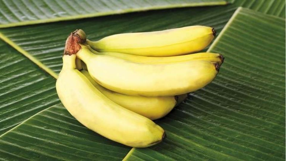 مواد تساعد على تخفيض ضغط الدم